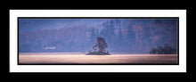 Borrowdale morning 3  Ref-PC2383