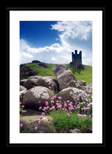 Flowers and rocks at Dunstanburgh Castle Ref-SCFRDC