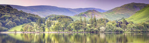 Ullswater trees Ref-PC2326