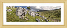 Ingleborough limestone Ref-PC245