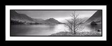 Crummock Water tree Ref-PBW347